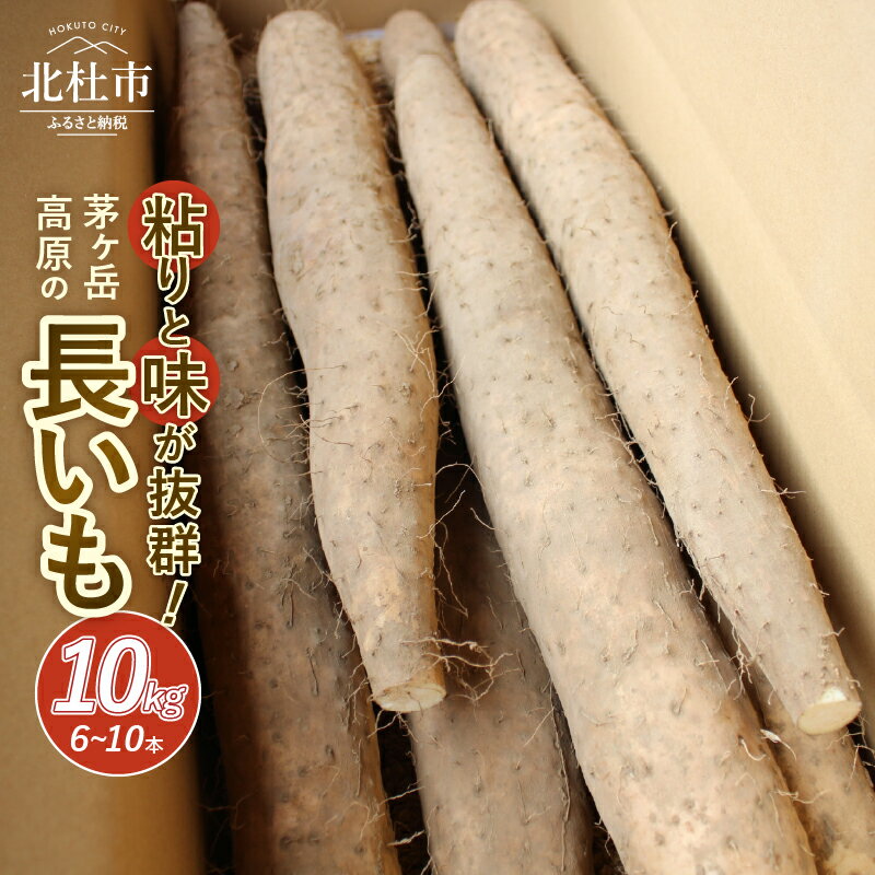 【ふるさと納税】 長芋 野菜 とろろ 10kg 約6～10本入り 期間限定 茅ヶ岳高原 山梨県 北杜市 送料無料