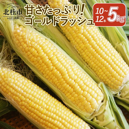 【2024年先行予約】 今が旬！ とうもろこし 5kg 贈り物 茅ヶ岳高原 甘さたっぷり ゴールドラッシュ 送料無料