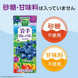 【ふるさと納税】 カゴメ 野菜生活100 岩手ブルーベリーミックス ジュース 季節限定 野菜 mix 195ml 紙パック 24本入 砂糖・甘味料無添加 健康志向 飲料 送料無料･･･ 画像2