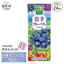 【ふるさと納税】 カゴメ 野菜生活100 岩手ブルーベリーミックス ジュース 季節限定 野菜 mix 195ml 紙パック 24本入 砂糖・甘味料無添加 健康志向 飲料 送料無料･･･