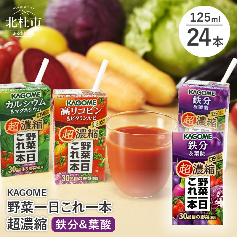 【ふるさと納税】 カゴメ 野菜一日これ一本 超濃縮 鉄分&葉酸 125ml 紙パック 24本入 野菜ジュース 濃縮ジュース 名水仕込 これ1本 無添加 野菜不足 350g 30品目 健康志向 飲料 仕送りギフト …