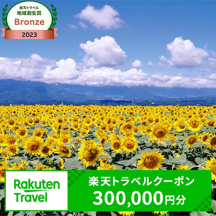 【ふるさと納税】山梨県北杜市の対象施設で使える楽天トラベルクーポン 寄付額1,000,000円 体験