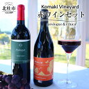 【ふるさと納税】 ワイン セット 赤ワイン 2本 750ml Komaki Vineyard メルロー種 有機栽培 自然な味わい 八ヶ岳 母の日 父の日
