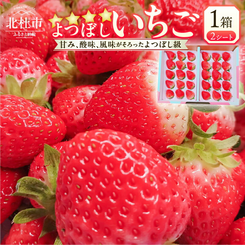 【ふるさと納税】 いちご よつぼし 八ヶ岳南麓産 1箱 2シート 計0.6kg以上 30粒〜36粒 フルーツ 高糖度 濃厚 大粒 厳選 送料無料