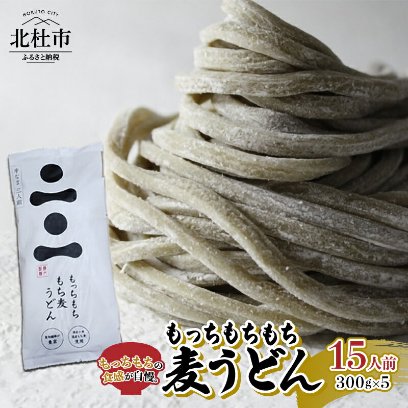 うどん もち麦 300g×5セット 15人前 国産小麦粉 媛もち麥 健康志向 湧き水 八ヶ岳 山梨県 北杜市 送料無料