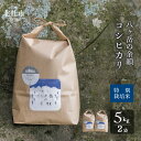 【ふるさと納税】 米 令和5年度 白米 5kg 2袋 コシヒカリ 計10kg 八ヶ岳の余韻 特別栽培米 山梨県北杜市 送料無料