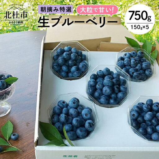 【ふるさと納税】 【2025年先行予約】ブルーベリー 生 3種類以上 完熟 大粒 朝摘み フルーツ 果物 特選 150g×5パック 甘い 品種 食べ比べ 送料無料 【ふるさと納税】 【2025年先行予約】ブルーベリー 生 3種類以上 完熟 大粒 朝摘み フルーツ 果物 特選 150g×5パック 甘い 品種 食べ比べ 送料無料