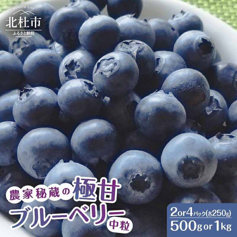 ڤդ뤵Ǽǡ 2024ǯͽ ֥롼٥꡼  ˴ γ ǻ ָ ٤ 500g 1kg ϥ֥å塦֥롼...