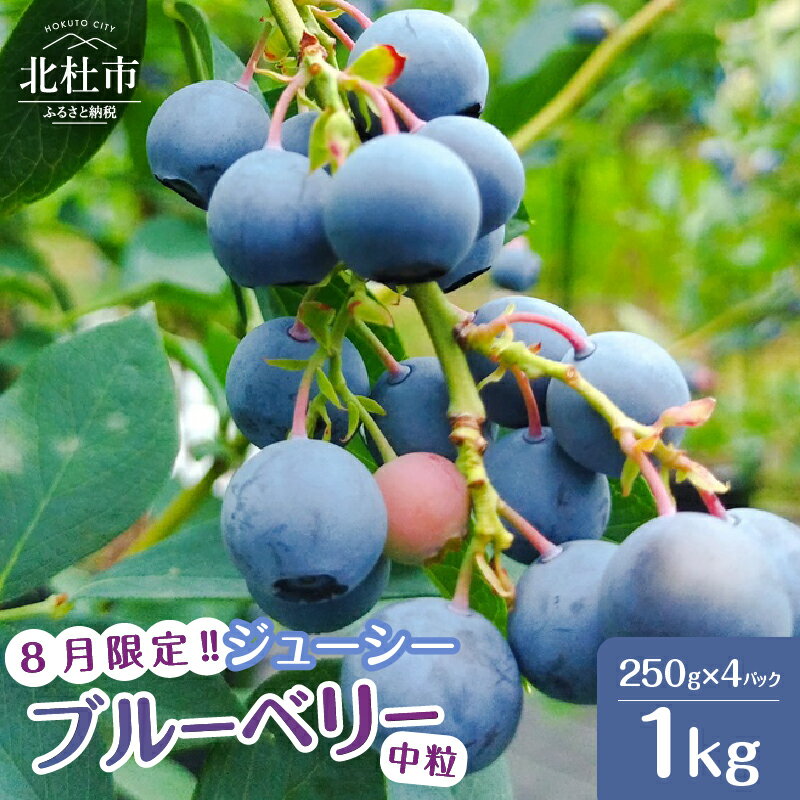 【ふるさと納税】 ブルーベリー 中粒 250g 4パック 計1kg 冷蔵 ラビットアイブルーベリー 8月限定 フルーツ 山梨県 北杜市 送料無料