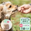 ڤդ뤵Ǽǡ 12ء ڥåȥա  ΤΤ    ٥֥ 18ѥå źʪԻ եɥå uchinokono oyatsu All for dog ̵