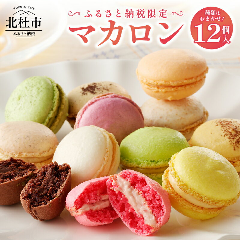 【ふるさと納税】 お菓子 マカロン アソート 冷凍 手作り バニラ チョコレート 木苺 カシス ヘーゼルナッツ ココナッツチョコレート 抹茶 ピスタチオ パッシ...