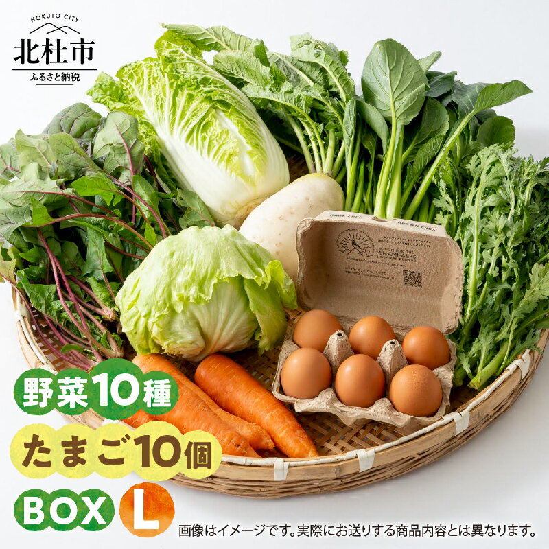 【ふるさと納税】 野菜 たまご セット 期間限定 野菜10種 平飼いたまご10個 農薬・化学肥料不使用 山梨県 北杜市産 仕送りギフト