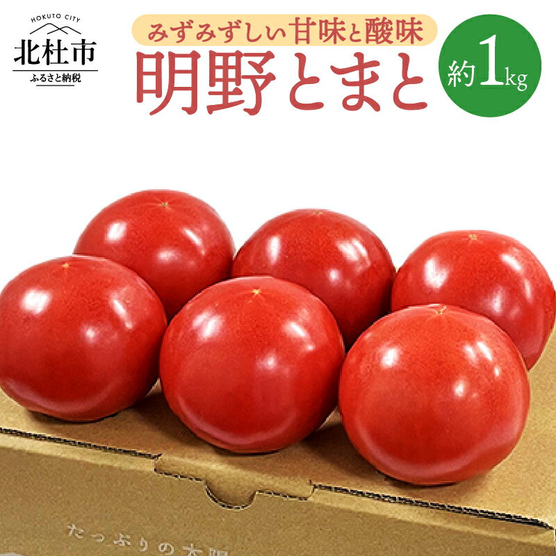 トマト 詰め合わせ 約1kg セット 新鮮 明野とまと 九州屋ファーム 山梨県 北杜市 送料無料