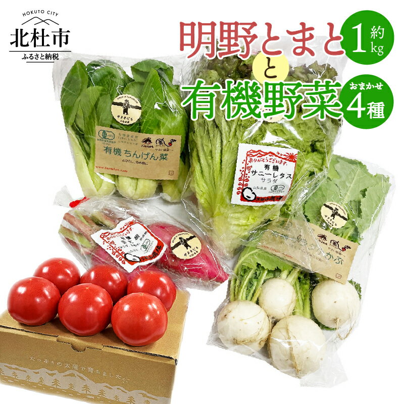 トマト 約1kg 有機野菜 おまかせ 4種 セット 新鮮 野菜 明野とまと 九州屋ファーム 山梨県 北杜市 仕送りギフト