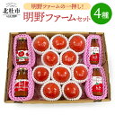 20位! 口コミ数「0件」評価「0」 トマト 約1kg ケチャップ トマトソース ジュース セット 新鮮 野菜 明野とまと 九州屋ファーム 山梨県 北杜市 送料無料