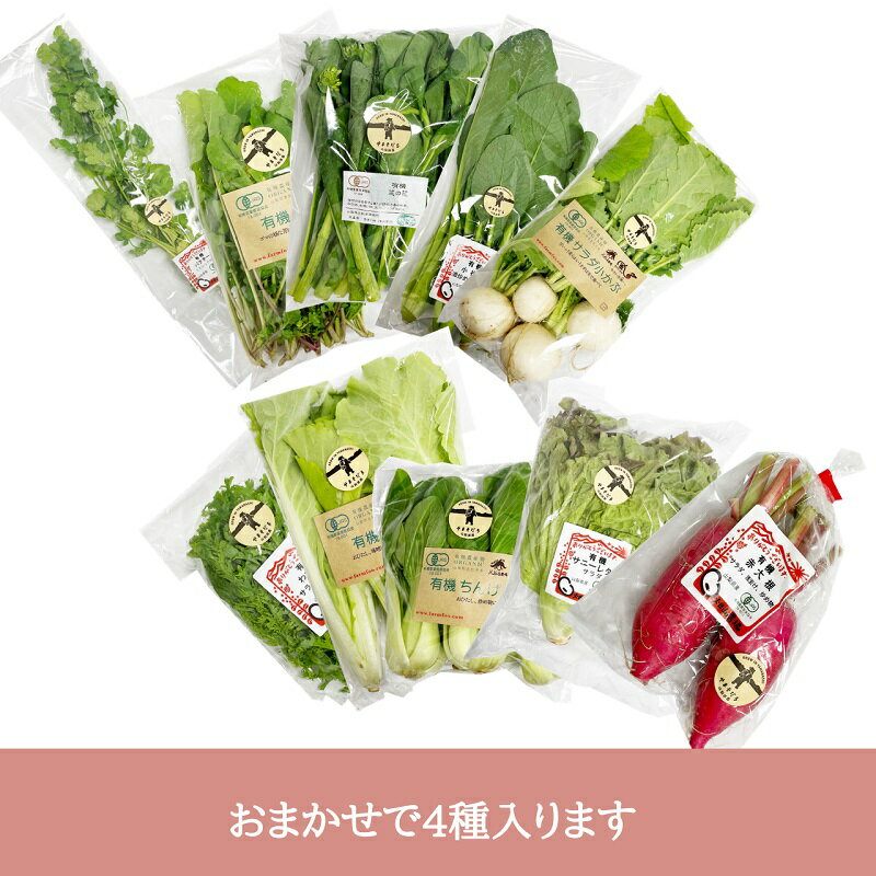 【ふるさと納税】 有機野菜 おまかせ 4種 セット 新鮮 明野とまと 九州屋ファーム 山梨県 北杜市 仕送りギフト