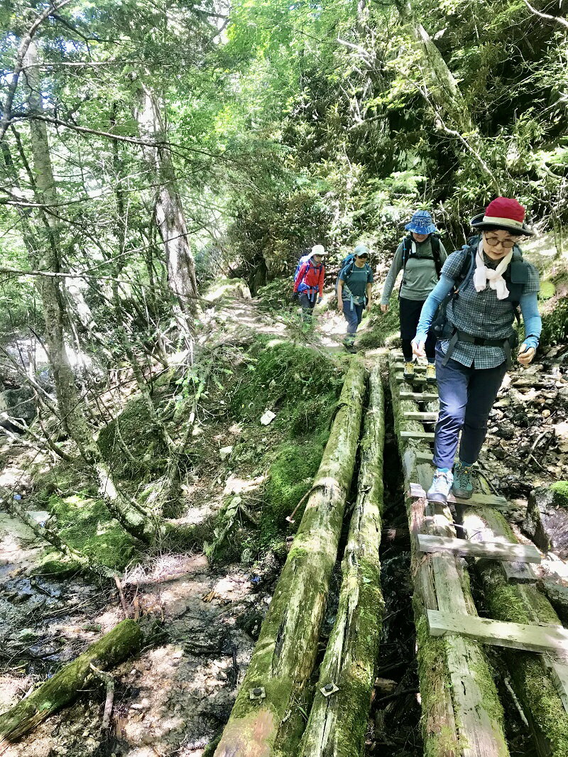 【ふるさと納税】 旅行 トラベル チケット ガ...の紹介画像3