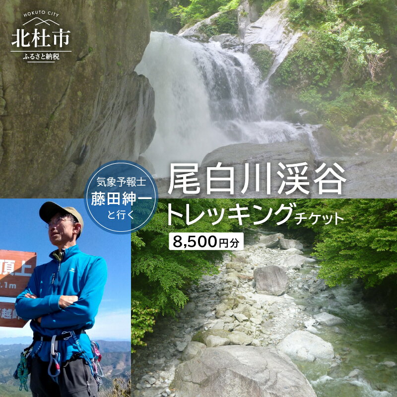 【ふるさと納税】旅行 トラベル チケット 渓谷 登山 トレッキング ツアー 尾白川渓谷 自然 滝 リフレ...