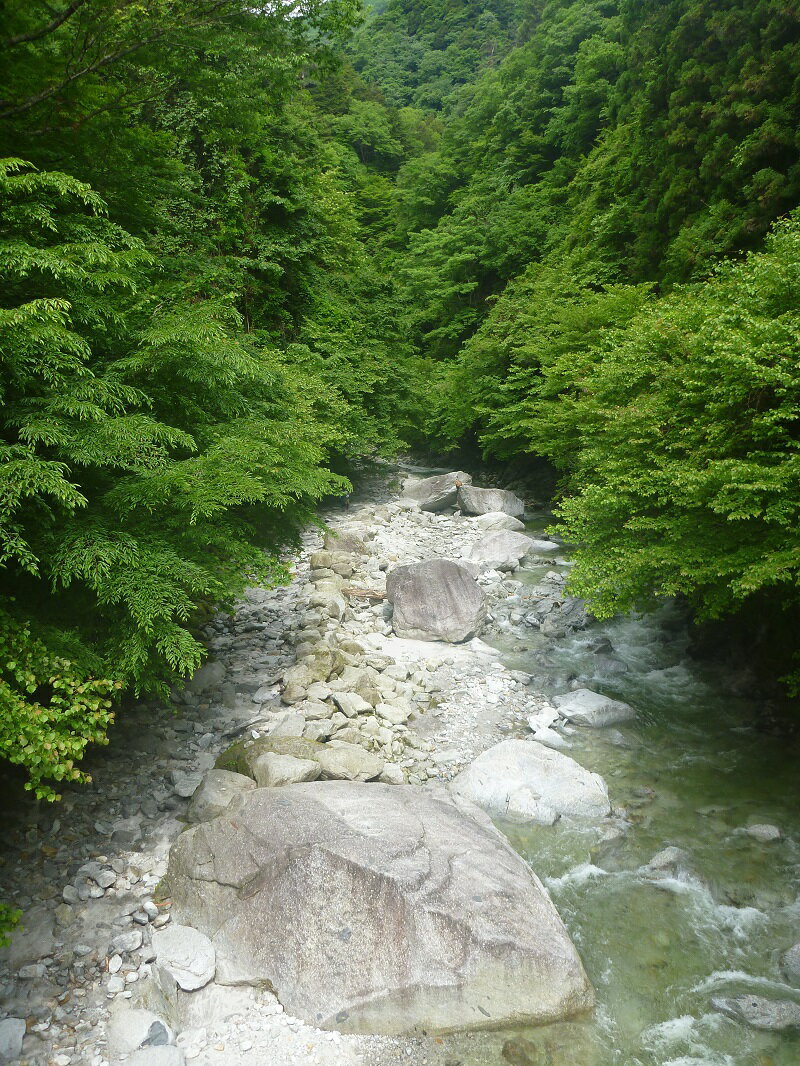 【ふるさと納税】旅行 トラベル チケット 渓谷 登山 トレッキング ツアー 尾白川渓谷 自然 滝 リフレッシュ アウトドア 山歩き 藤田紳一 金政権 パスタ ランチ 山梨県 北杜市 体験