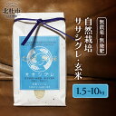 【ふるさと納税】 米 玄米 選べる容量 1.5kg 5kg 