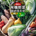 29位! 口コミ数「0件」評価「0」 野菜 詰め合わせ セット 7品目 有機野菜 季節の野菜 おまかせ 有機jAS認定 新鮮 レシピ付き 山梨県 北杜市 仕送りギフト