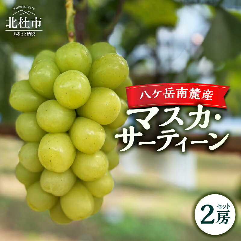 【ふるさと納税】 マスカ・サーティーン 2025年 先行予約 ぶどう 2房 セット 約1kg 期間限定 数量限定 新品種 葡萄 ブドウ フルーツ 果物 弾力 大粒 甘い 山梨県 北杜市 八ヶ岳南麓 送料無料