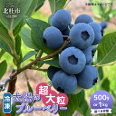 【ふるさと納税】 \レビューキャンペーン実施中/ ブルーベリー 超大粒 冷凍 選べる容量 500g 1000g 無農薬 期間限定 数量限定 フルーツ くだもの 冷凍フルーツ 新鮮 ジュース ジャム お菓子 山梨県 北杜市 明野町 送料無料