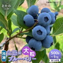 【ふるさと納税】 \レビューキャンペーン実施中/ 冷凍 選べる容量 500g 1000g 大粒 無農薬 期間限定 数量限定 フルーツ くだもの 冷凍フルーツ 新鮮 ジュース ジャム お菓子 山梨県 北杜市 明野町 送料無料