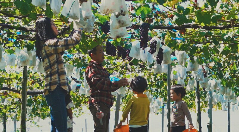 �ڤդ뤵��Ǽ�ǡ� �����ݥ�� ���٤� 1,000��ʬ 5,000��ʬ 10,000��ʬ �ۤ��ȥե��󥯥�� ���٥�� �ĥ��� �����ݥ� ι�� �ȥ�٥� �ĥ��� ���٥�� ���λ� ����̵��