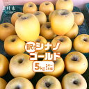 【ふるさと納税】 りんご 訳あり 2025年先行予約 山梨県産 シナノゴールド 期間限定 5kg 14個〜16個 家庭用 規格外 フルーツ 果物 果実 山梨 北...