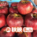 【ふるさと納税】 りんご 訳あり 2025年先行予約 山梨県産 秋映 期間限定 5kg 12個〜16個 家庭用 規格外 フルーツ 果物 果実 山梨 北杜市 送料...