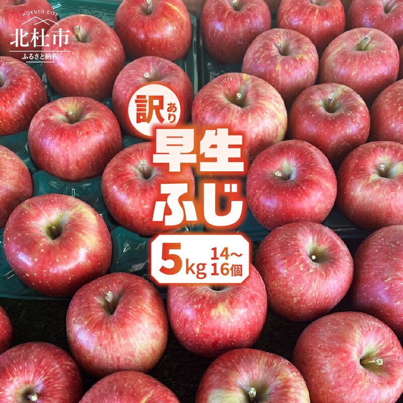 【ふるさと納税】 りんご 訳あり 2025年先行予約 山梨県産 早生ふじ 期間限定 5kg 14個~16個 家庭用 規格外 フルーツ 果物 果実 山梨 北杜市 送料無料