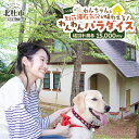 【ふるさと納税】 八ヶ岳わんわんパラダイス 施設利用券15,000円分 愛犬同伴 わんちゃん限定 体験