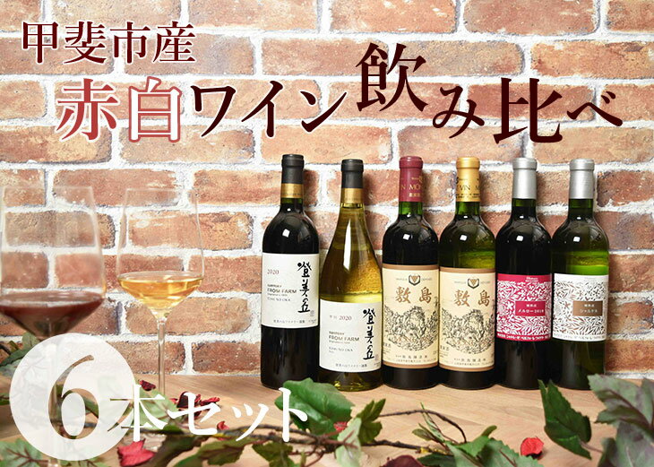 【ふるさと納税】甲斐市産　赤白ワイン飲み比べ　6本セット（AD-28）