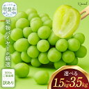 【ふるさと納税】 【2025年分発送】 訳あり 家庭用 シャインマスカット 1.5〜3.5kg相当 AD-272