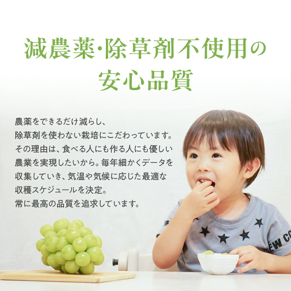 山梨県甲斐市の画像3