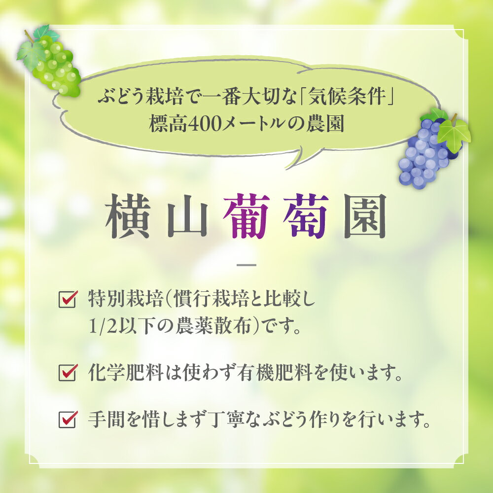 山梨県甲斐市の画像3