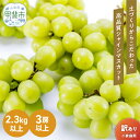 【ふるさと納税】【2025年-令和7年発送分☆先行予約☆】【訳あり】ご家庭用 シャインマスカット 2.3kg
