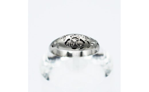 山梨県甲斐市の画像2