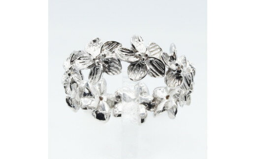 山梨県甲斐市の画像2