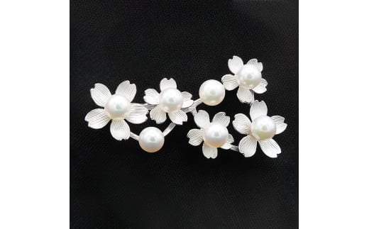 山梨県甲斐市の画像3