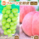 【ふるさと納税】【2025年発送】プレミアムフルーツ定期便 先行予約 先行 予約 山梨県産 産地直送 フルーツ 果物 くだもの ぶどう ブドウ 葡萄 シャイン ...