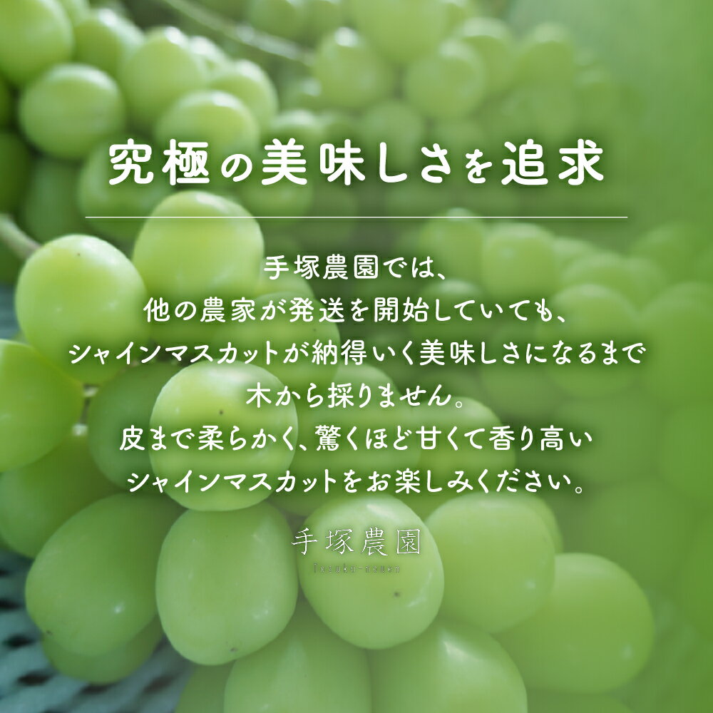 山梨県甲斐市の画像3