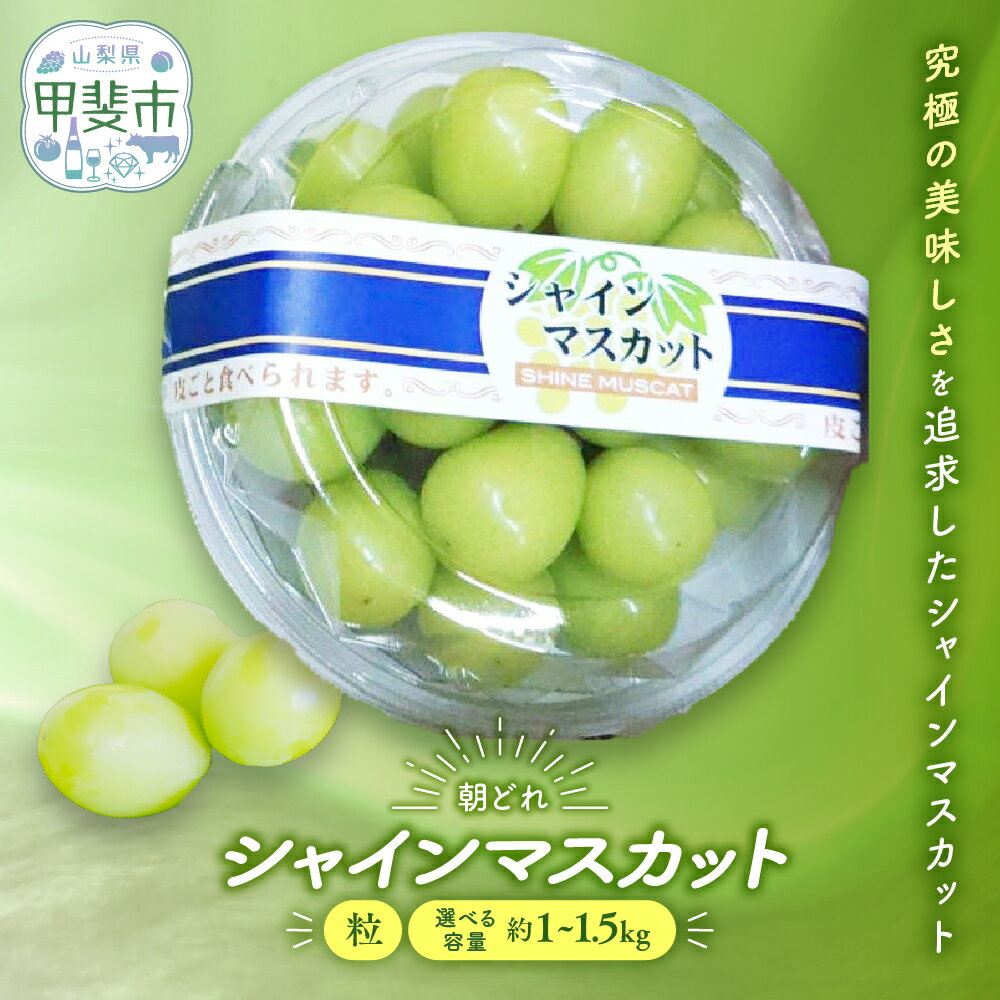 152位! 口コミ数「0件」評価「0」【来年（2026年/令和8年）発送＜先行予約＞】ご家庭用 訳あり シャインマスカット 粒 約1.0kg～1.5kg 減農薬 先行予約 先行 予約 山梨県産 国産 産地直送 贈答 フルーツ 果物 くだも･･･ 