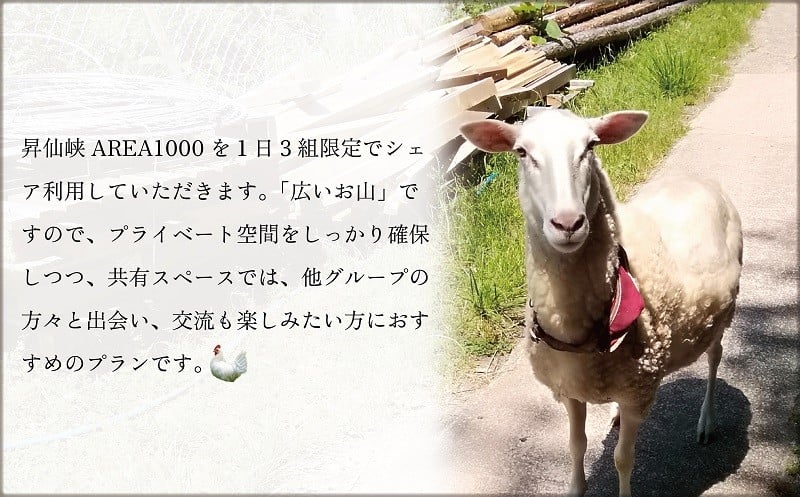 山梨県甲斐市の画像2