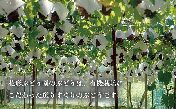 山梨県甲斐市の画像3