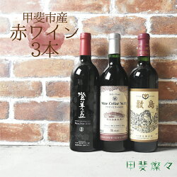 【ふるさと納税】【ふるさと納税】山梨県産　甲斐市産　赤ワイン飲み比べ 3本セット｜日本ワイン 赤ワイン 登美の丘ワイナリー 家飲み お祝い（AD-34）　【 お酒 赤ワインセット 宅飲み おうちディナー 】･･･ 画像1