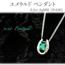 27位! 口コミ数「0件」評価「0」エメラルド ペンダント 0.5ct Pt100 [24118] 馬蹄 ダイヤモンド ネックレス アクセサリー レディース ジュエリー 山梨県･･･ 