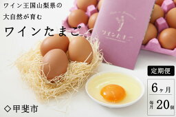 【ふるさと納税】【ふるさと納税】【定期便】コクがあり旨味が強い 絶品ワインたまご (20個入り×6カ月) 卵 たまご 生卵 鶏卵 山梨県甲斐市　【定期便・ 食材 食卓 万能食材 卵料理 玉子焼き オムレツ 玉子かけご飯 おかず 料理 調理 】