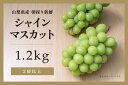 【ふるさと納税】【2024年-令和6年発送分☆先行予約☆】山梨県産 朝採り新鮮 シャインマスカット 1.2kg　【 果物 ぶどう フルーツ デザート 食後 おやつ 旬の果物 旬のフルーツ 国産 】　お届け：2024年9月中旬～10月上旬頃に順次発送予定･･･